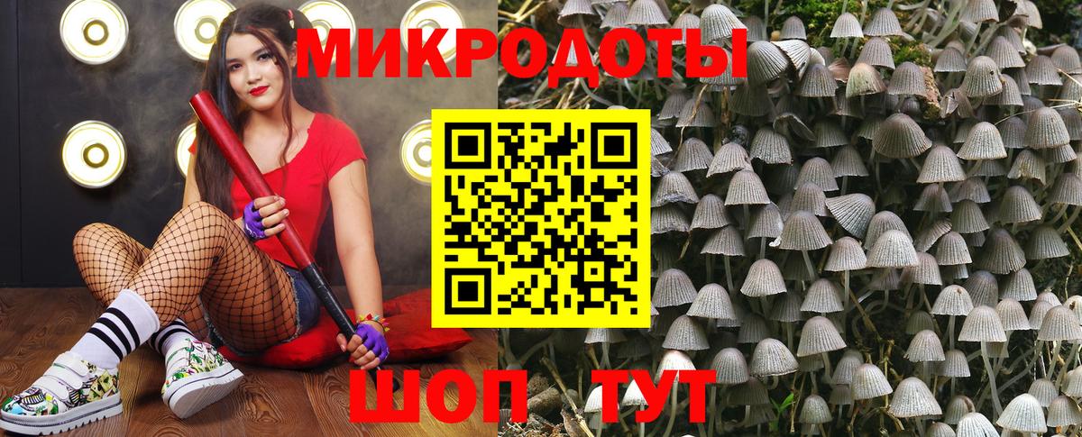 Галлюциногенные грибы мухоморы Губкин