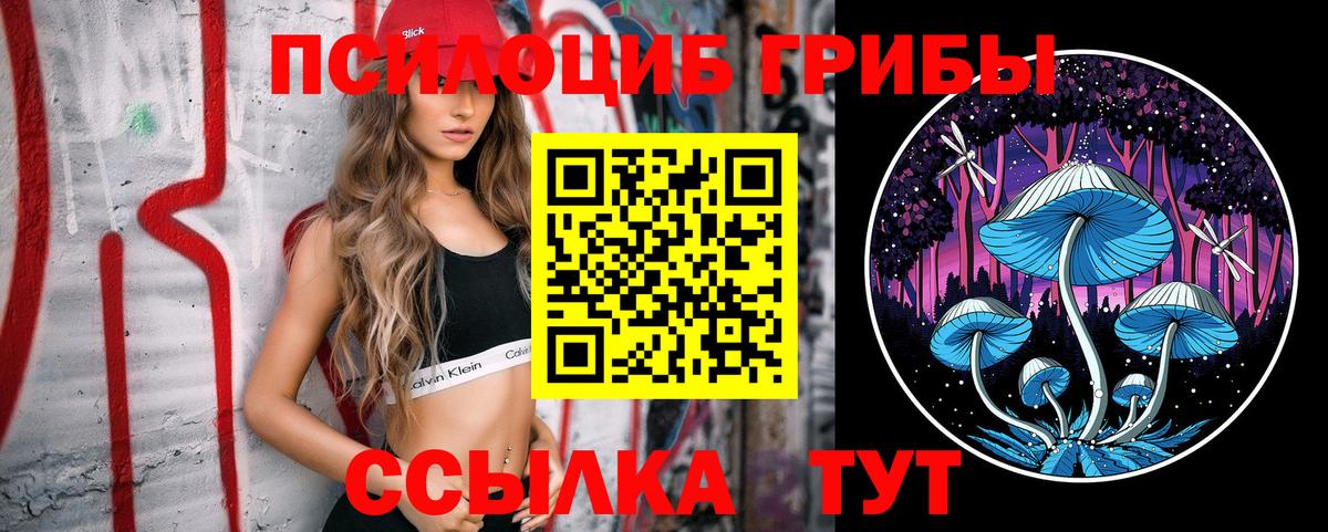 Псилоцибиновые грибы ЛСД  Вход с VPN  Псилоцибиновые грибы Psilocybe  Губкин 