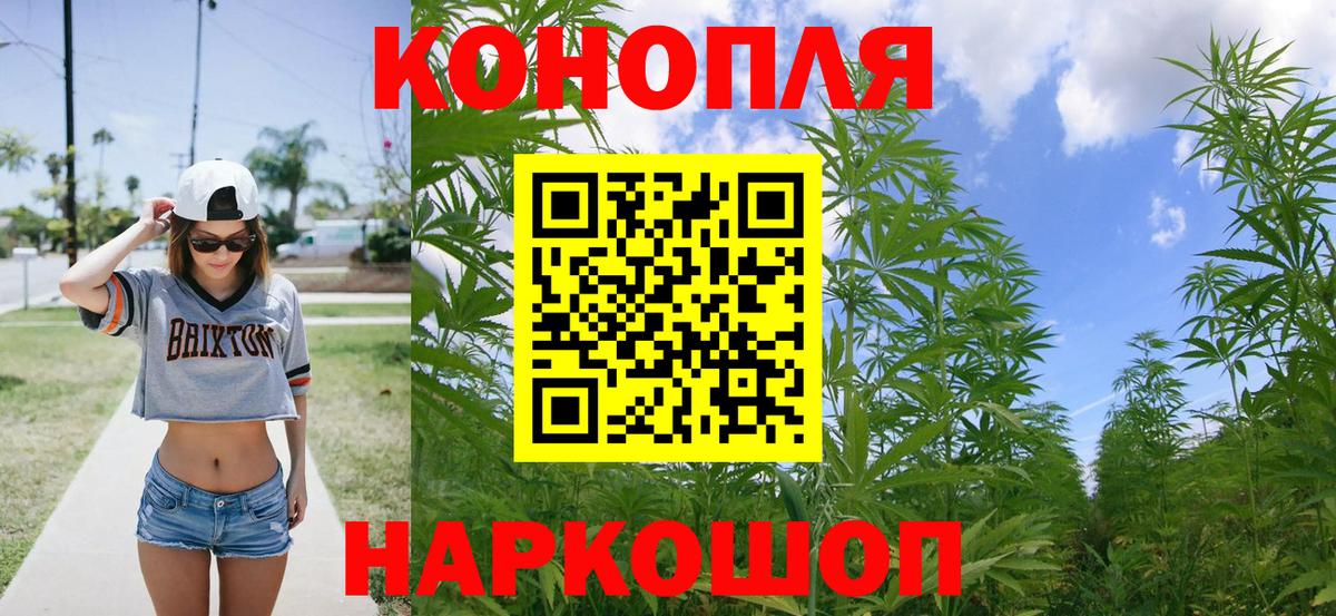 Марихуана OG Kush  МАРИХУАНА Ganja  Канабис план  Вход с VPN  Шишки марихуана сатива  Губкин 